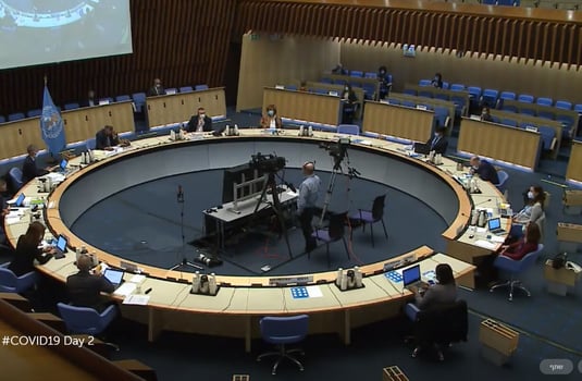 Executive_Board_Special_session_on_the_COVID-19 